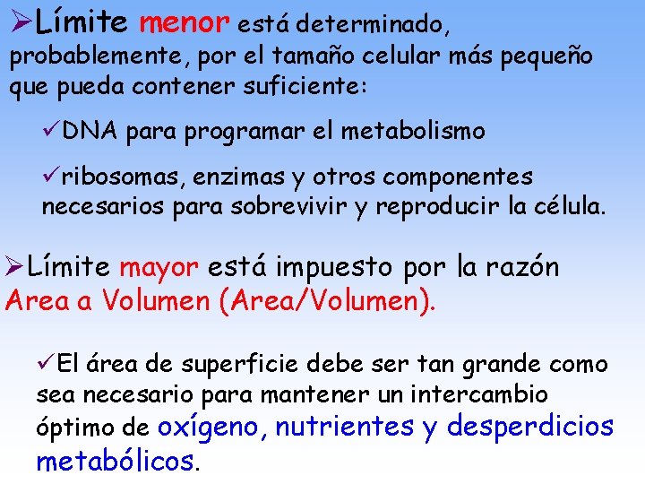 ØLímite menor está determinado, probablemente, por el tamaño celular más pequeño que pueda contener