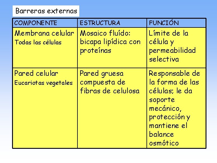 Barreras externas COMPONENTE ESTRUCTURA FUNCIÓN Membrana celular Mosaico fluído: bicapa lipídica con Todas las