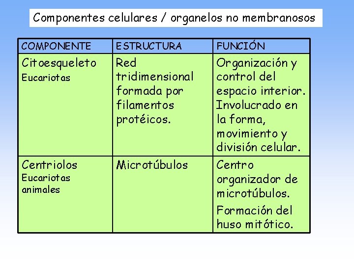 Componentes celulares / organelos no membranosos COMPONENTE ESTRUCTURA FUNCIÓN Citoesqueleto Red tridimensional formada por