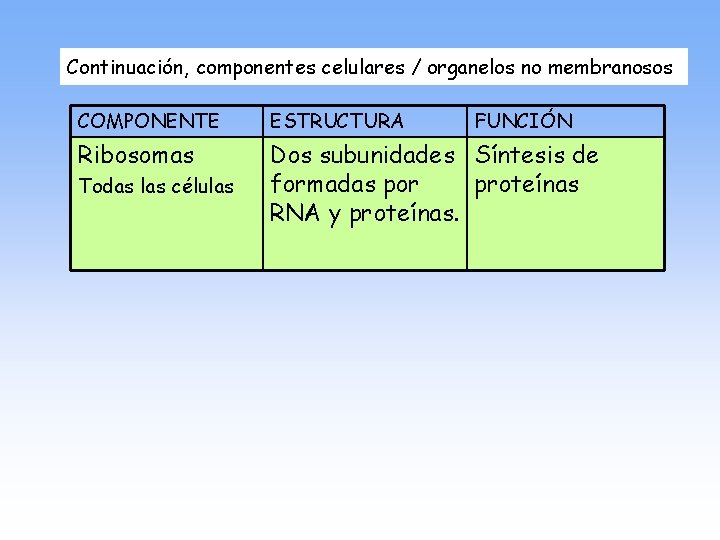 Continuación, componentes celulares / organelos no membranosos COMPONENTE ESTRUCTURA Ribosomas Dos subunidades Síntesis de