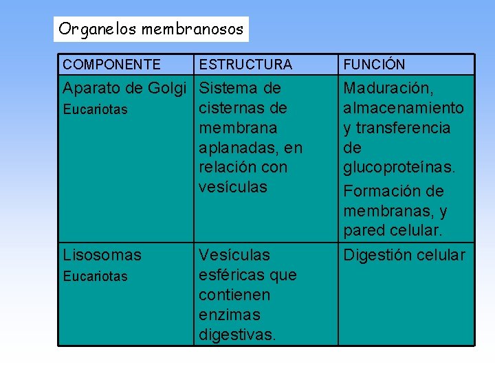 Organelos membranosos COMPONENTE ESTRUCTURA FUNCIÓN Aparato de Golgi Sistema de cisternas de Eucariotas membrana