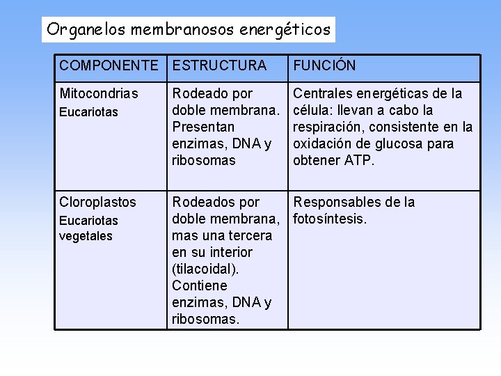 Organelos membranosos energéticos COMPONENTE ESTRUCTURA FUNCIÓN Mitocondrias Centrales energéticas de la célula: llevan a