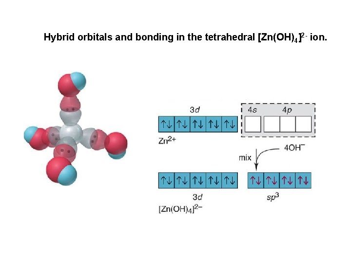 Hybrid orbitals and bonding in the tetrahedral [Zn(OH)4]2 - ion. 