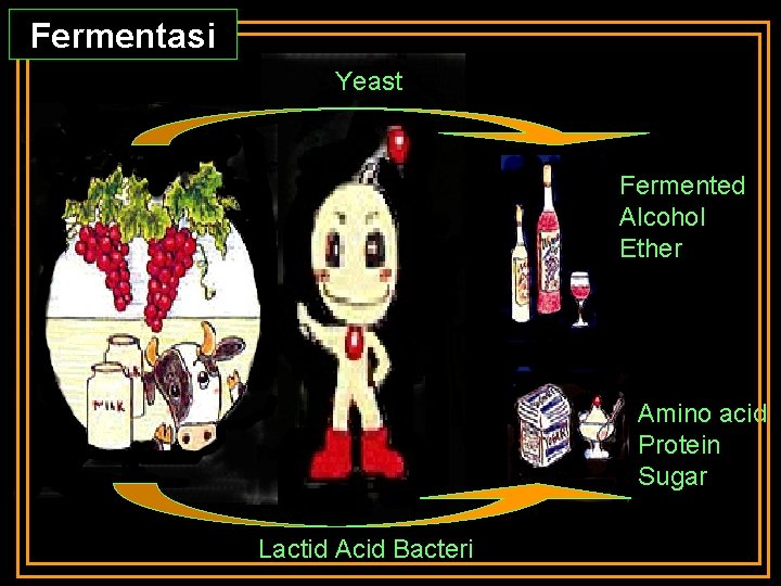 Fermentasi Yeast Fermented Alcohol Ether Amino acid Protein Sugar Lactid Acid Bacteri 