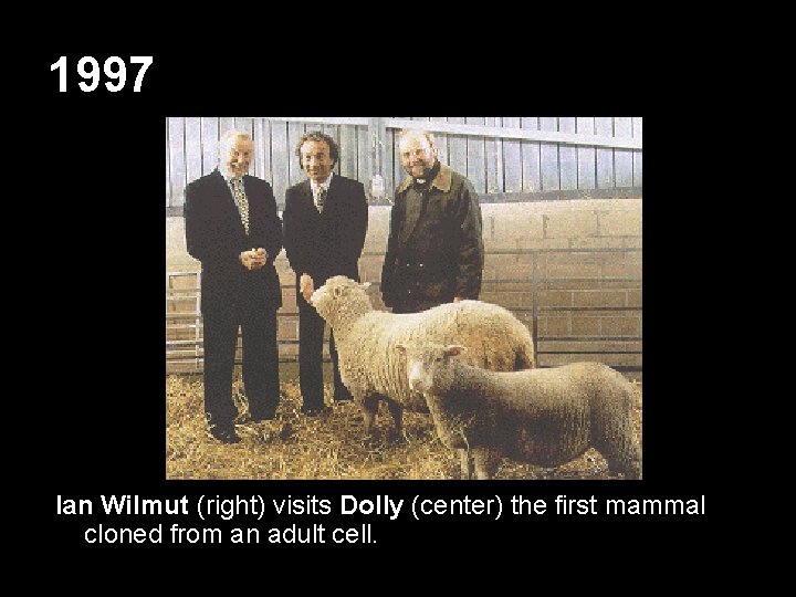 1997 Ian Wilmut (right) visits Dolly (center) the first mammal cloned from an adult