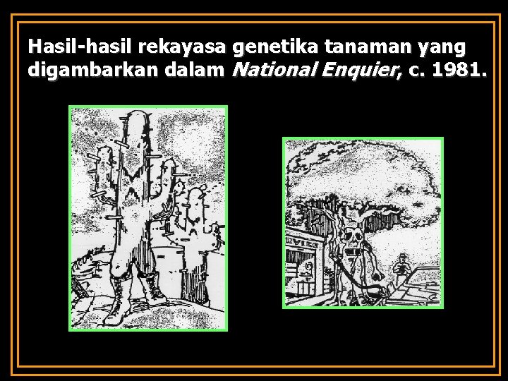Hasil-hasil rekayasa genetika tanaman yang digambarkan dalam National Enquier, c. 1981. 