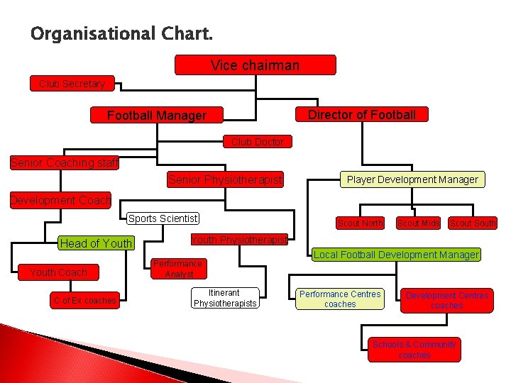 Organisational Chart. Vice chairman Club Secretary Director of Football Manager Club Doctor Senior Coaching