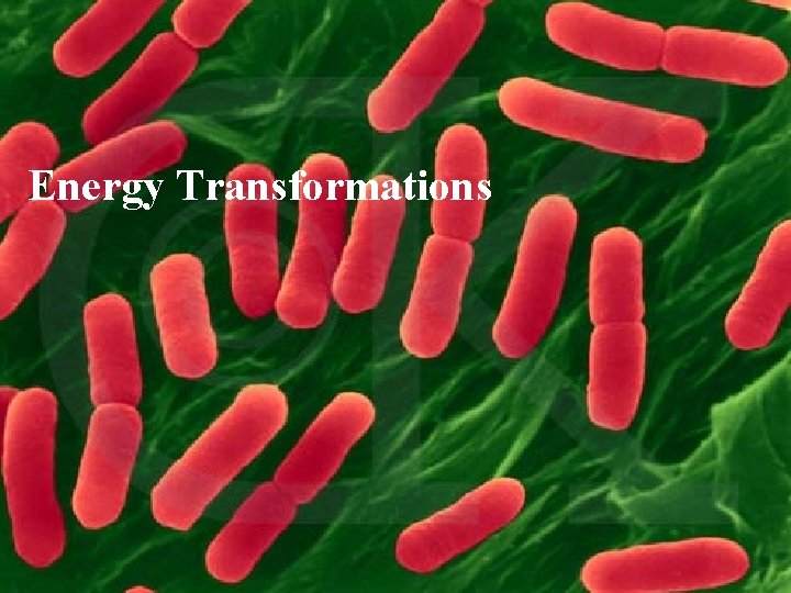 Energy Transformations Copyright © 2005 Pearson Education, Inc. publishing as Benjamin Cummings 