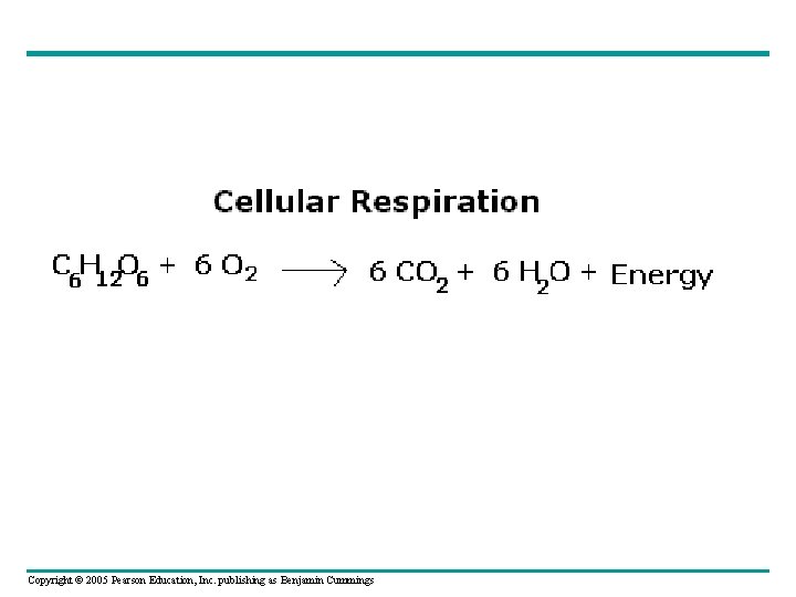 Copyright © 2005 Pearson Education, Inc. publishing as Benjamin Cummings 