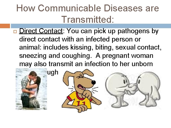 How Communicable Diseases are Transmitted: Direct Contact: You can pick up pathogens by direct