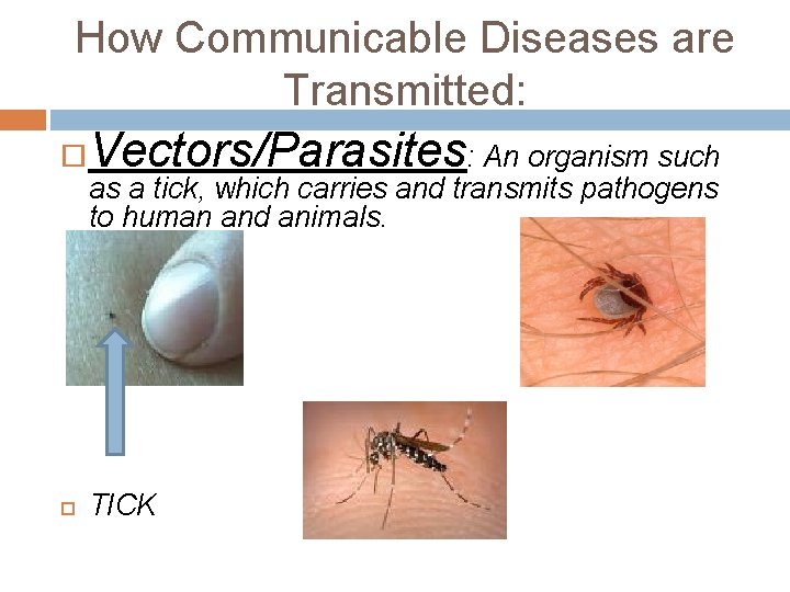 How Communicable Diseases are Transmitted: Vectors/Parasites: An organism such TICK as a tick, which