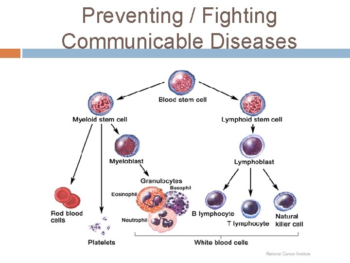 Preventing / Fighting Communicable Diseases 