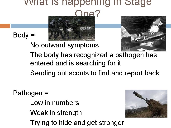 What Is happening in Stage One? Body = No outward symptoms The body has