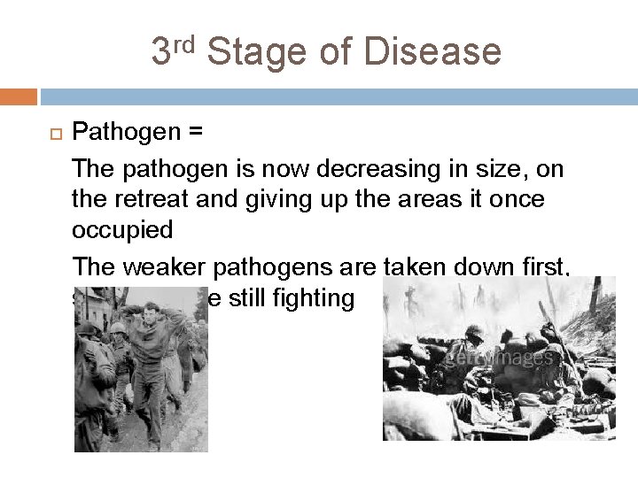 3 rd Stage of Disease Pathogen = The pathogen is now decreasing in size,