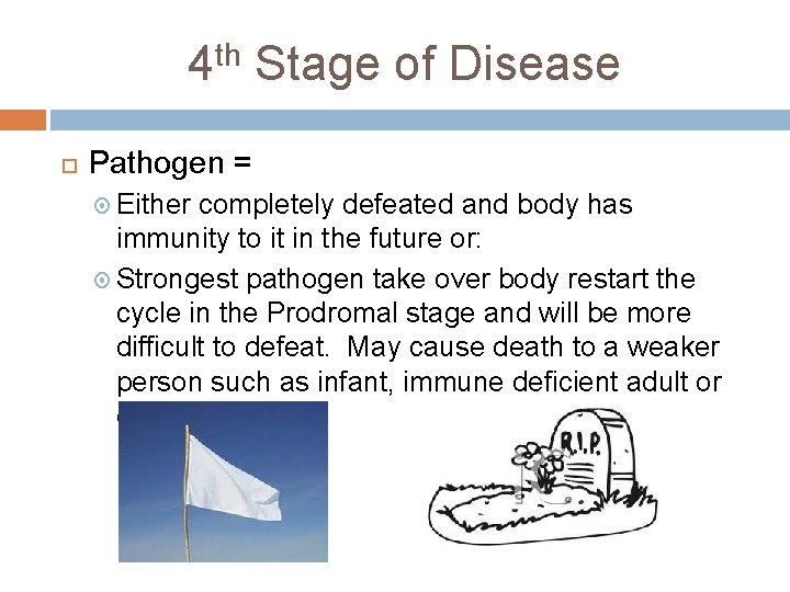 4 th Stage of Disease Pathogen = Either completely defeated and body has immunity