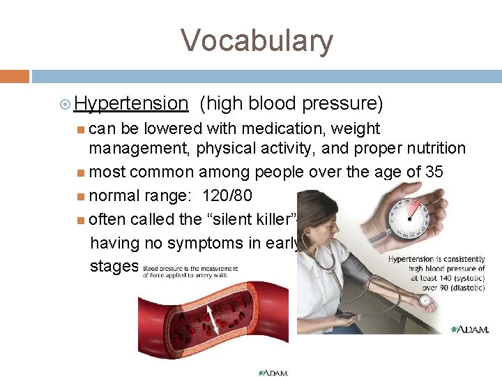 Vocabulary Hypertension (high blood pressure) can be lowered with medication, weight management, physical activity,