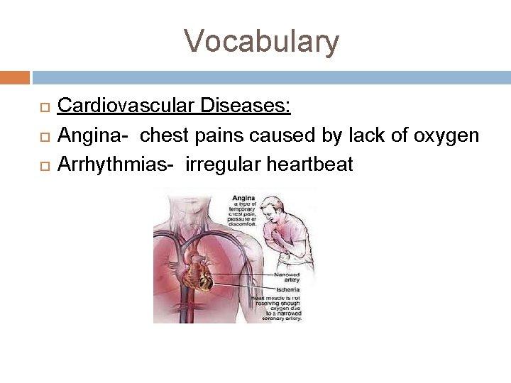 Vocabulary Cardiovascular Diseases: Angina- chest pains caused by lack of oxygen Arrhythmias- irregular heartbeat