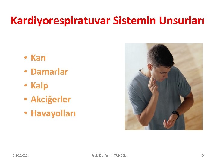 Kardiyorespiratuvar Sistemin Unsurları • • • 2. 10. 2020 Kan Damarlar Kalp Akciğerler Havayolları