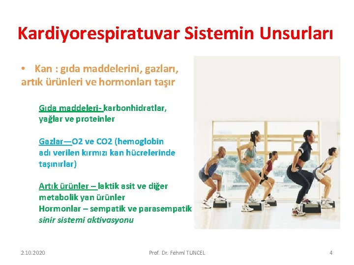 Kardiyorespiratuvar Sistemin Unsurları • Kan : gıda maddelerini, gazları, artık ürünleri ve hormonları taşır