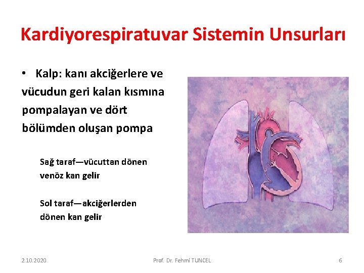 Kardiyorespiratuvar Sistemin Unsurları • Kalp: kanı akciğerlere ve vücudun geri kalan kısmına pompalayan ve