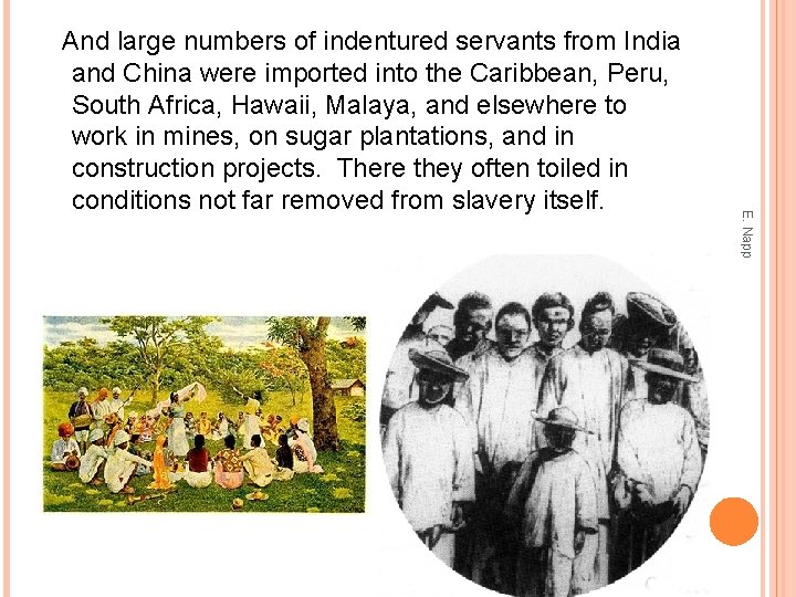 E. Napp And large numbers of indentured servants from India and China were imported