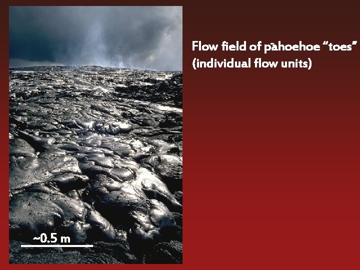 Flow field of pahoehoe “toes” (individual flow units) ~0. 5 m 