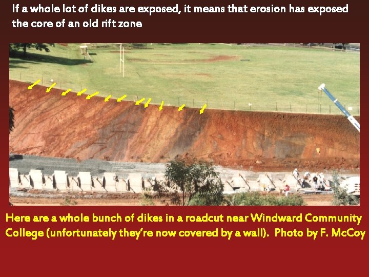 If a whole lot of dikes are exposed, it means that erosion has exposed