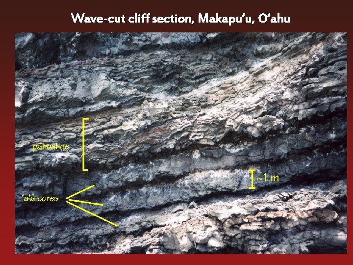 Wave-cut cliff section, Makapu‘u, O‘ahu 