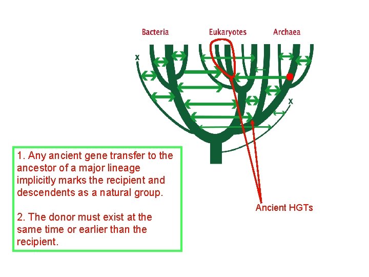 1. Any ancient gene transfer to the ancestor of a major lineage implicitly marks