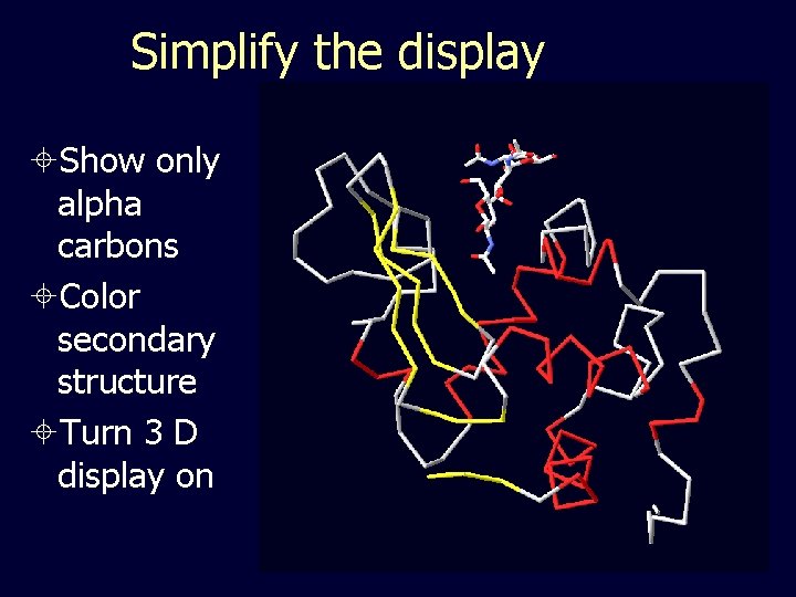 Simplify the display Show only alpha carbons Color secondary structure Turn 3 D display