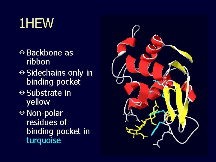 1 HEW Backbone as ribbon Sidechains only in binding pocket Substrate in yellow Non-polar