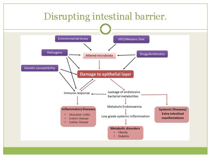 Disrupting intestinal barrier. 