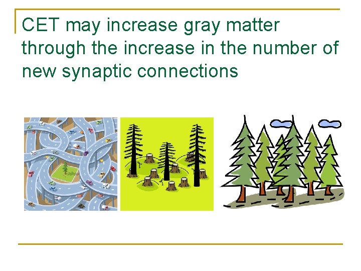 CET may increase gray matter through the increase in the number of new synaptic