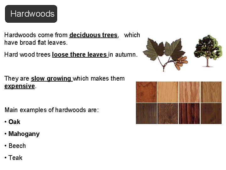 Hardwoods come from deciduous trees, which have broad flat leaves. Hard wood trees loose