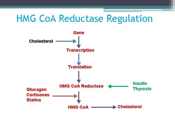 HMG Co. A Reductase Regulation Gene Cholesterol Transcription Translation Glucagon Cortisones Statins HMG Co.