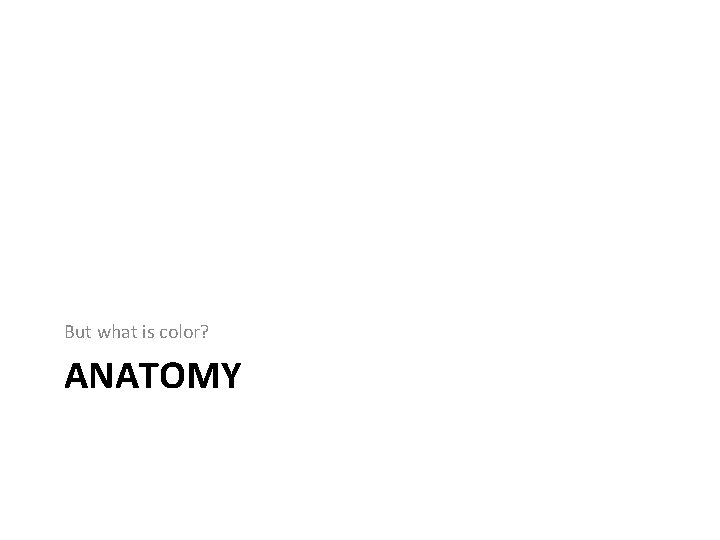 But what is color? ANATOMY 