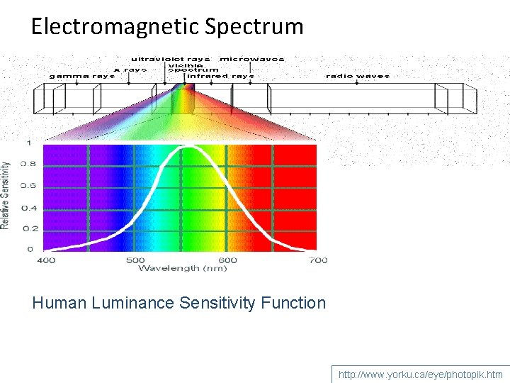 Electromagnetic Spectrum Human Luminance Sensitivity Function http: //www. yorku. ca/eye/photopik. htm 