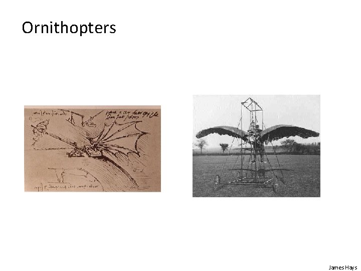 Ornithopters James Hays 