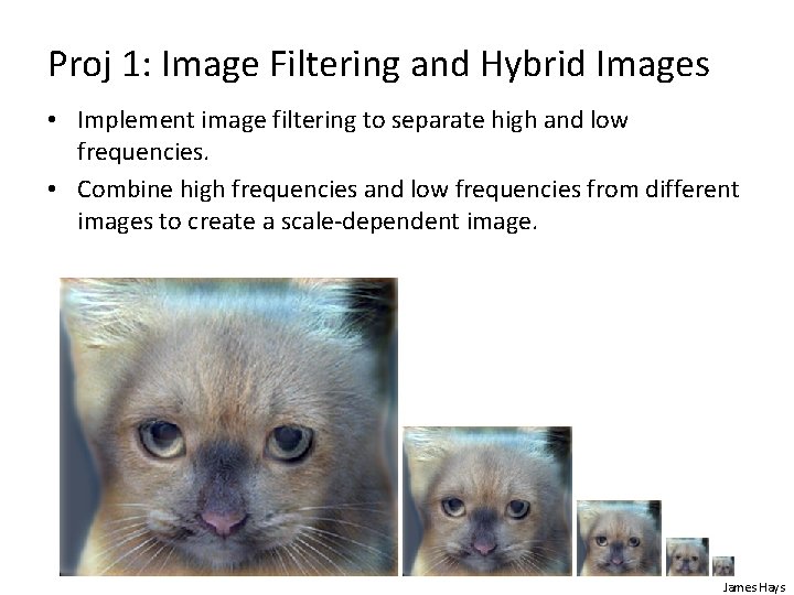 Proj 1: Image Filtering and Hybrid Images • Implement image filtering to separate high