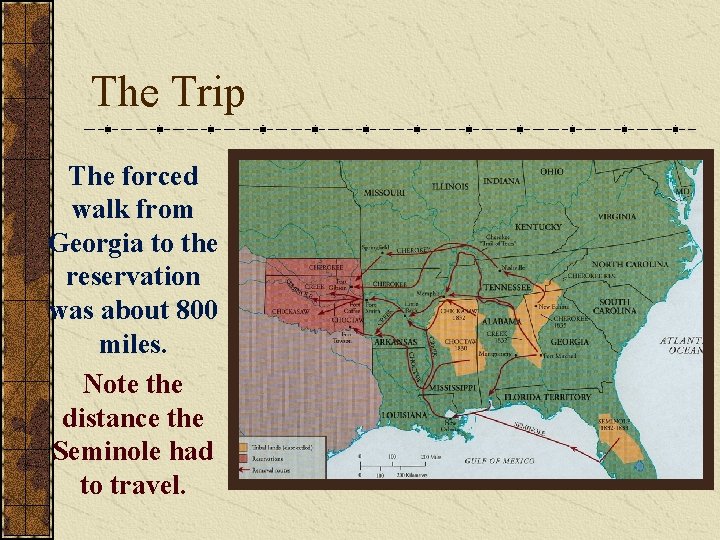 The Trip The forced walk from Georgia to the reservation was about 800 miles.