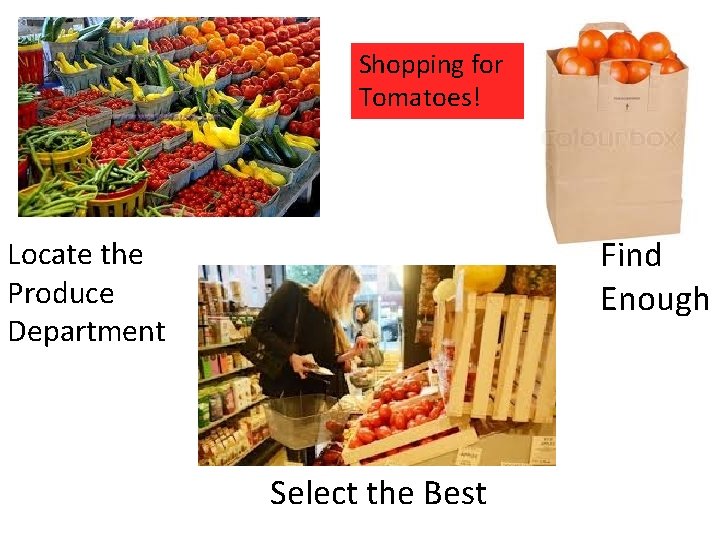 Shopping for Tomatoes! Find Enough Locate the Produce Department Select the Best 