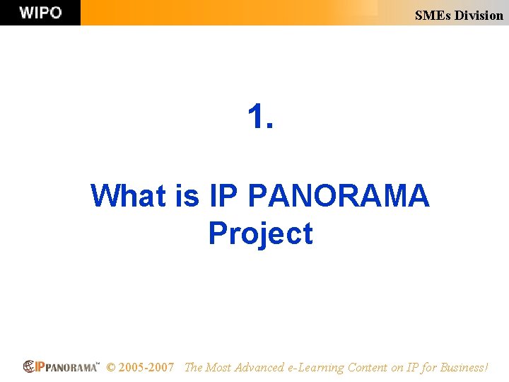 SMEs Division 1. What is IP PANORAMA Project © 2005 -2007 The Most Advanced