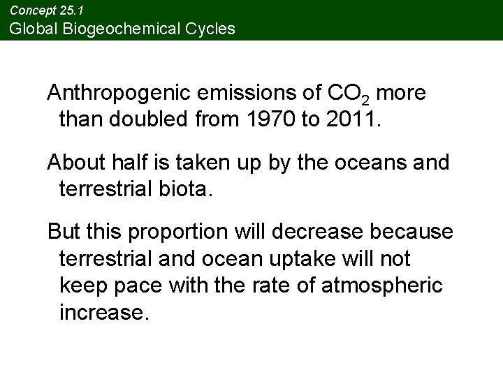 Concept 25. 1 Global Biogeochemical Cycles Anthropogenic emissions of CO 2 more than doubled