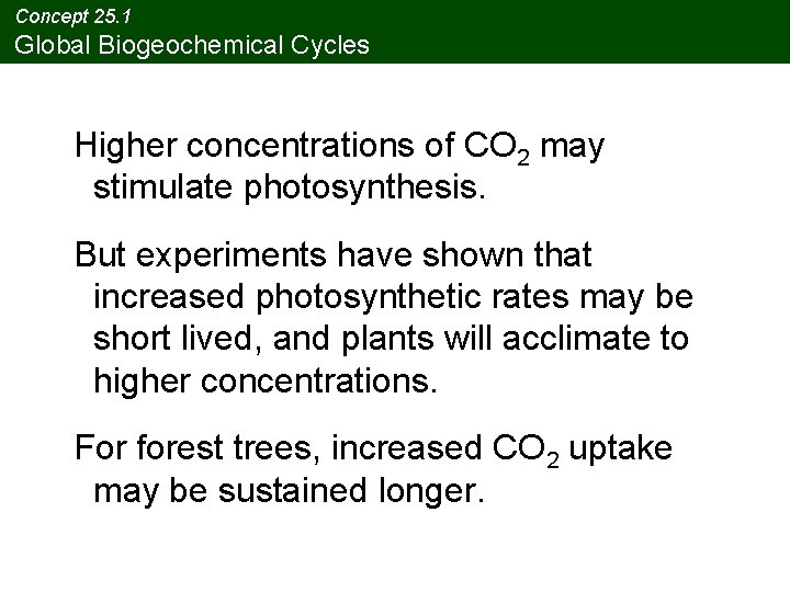 Concept 25. 1 Global Biogeochemical Cycles Higher concentrations of CO 2 may stimulate photosynthesis.