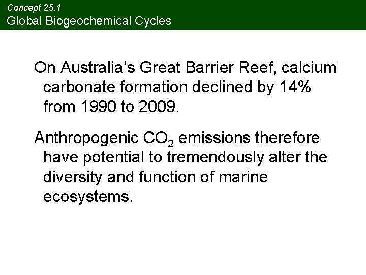 Concept 25. 1 Global Biogeochemical Cycles On Australia’s Great Barrier Reef, calcium carbonate formation