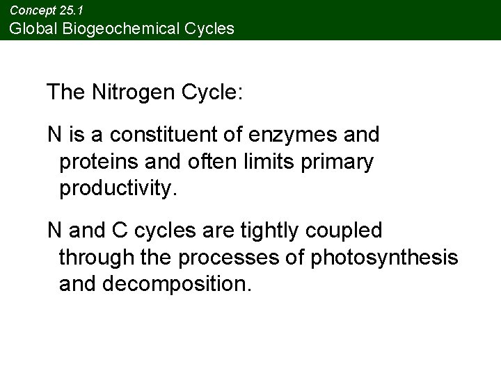 Concept 25. 1 Global Biogeochemical Cycles The Nitrogen Cycle: N is a constituent of