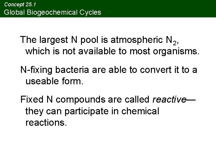 Concept 25. 1 Global Biogeochemical Cycles The largest N pool is atmospheric N 2,