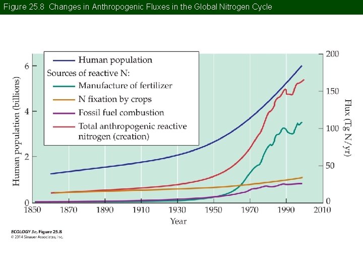 Figure 25. 8 Changes in Anthropogenic Fluxes in the Global Nitrogen Cycle 