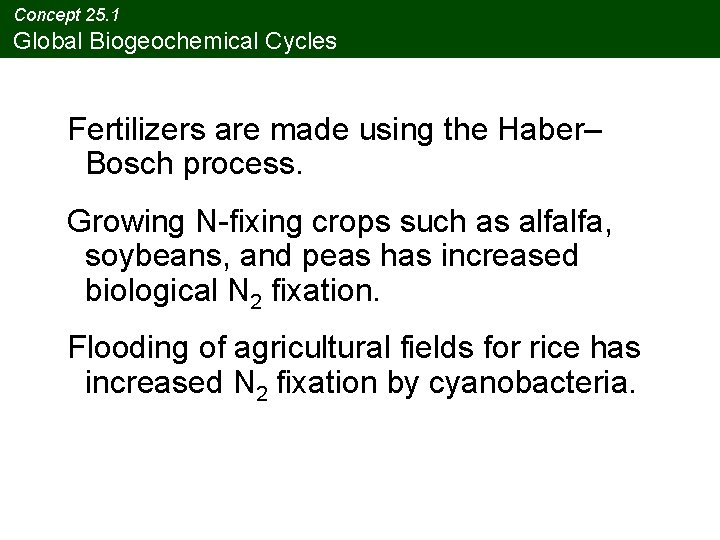 Concept 25. 1 Global Biogeochemical Cycles Fertilizers are made using the Haber– Bosch process.