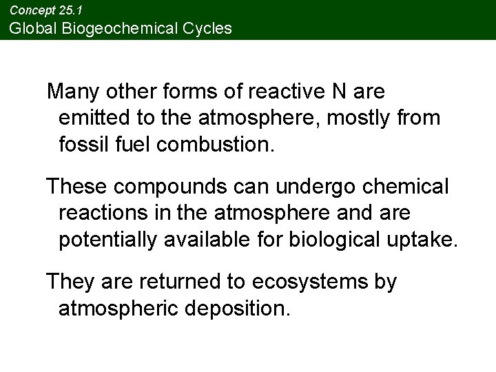Concept 25. 1 Global Biogeochemical Cycles Many other forms of reactive N are emitted